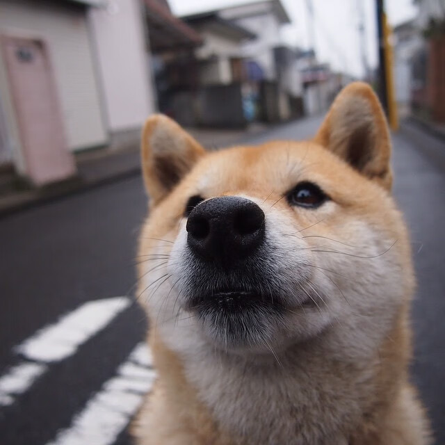 “举重赛事:高新体育中心赛场见证选手不屈的意志与爆发力”