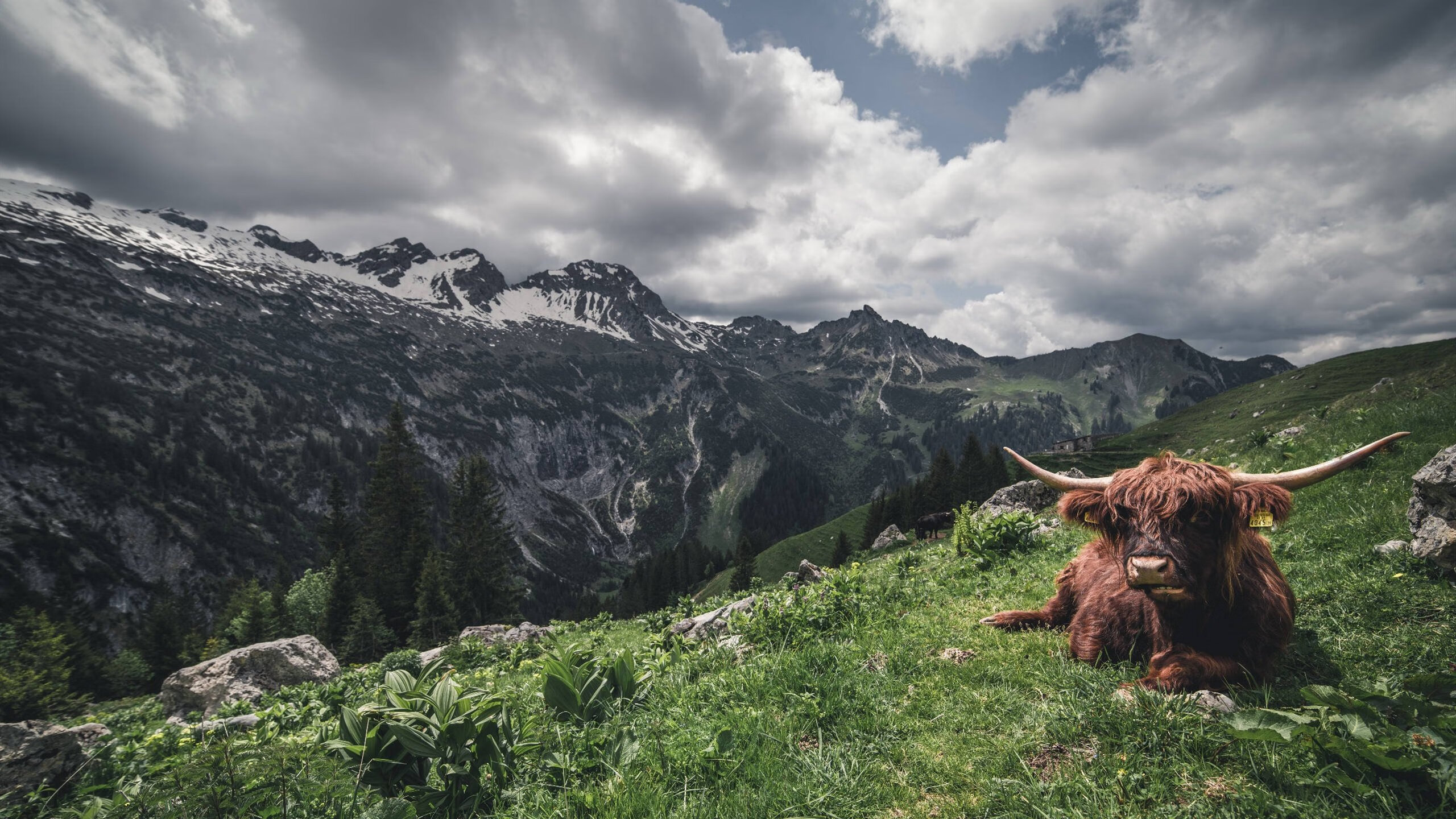 中小学生体育测评系统接入校园APP平台,中小学体质测试