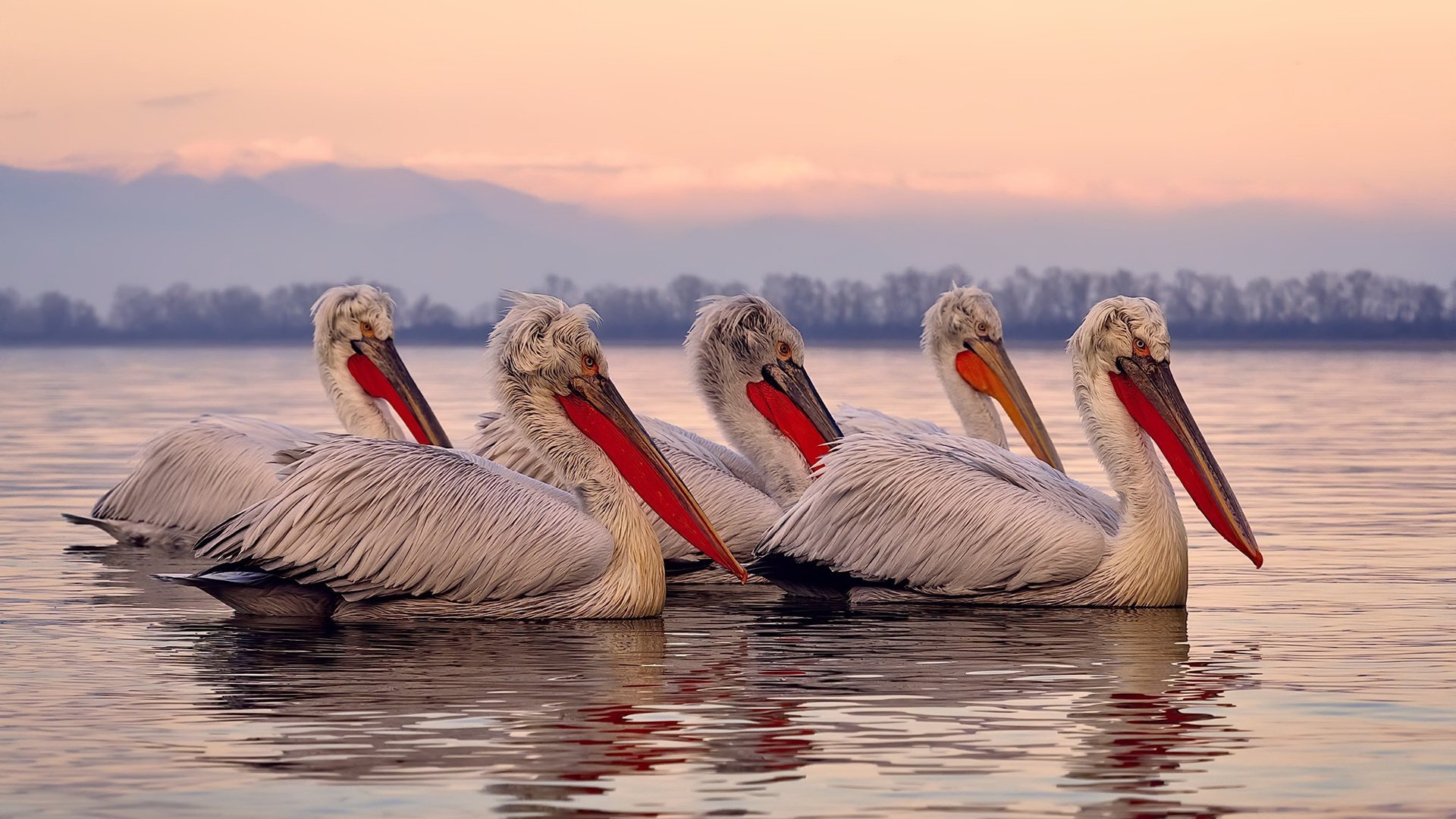 中国三人女篮保持高强度训练 提升整体实力，中国三人女篮球名单