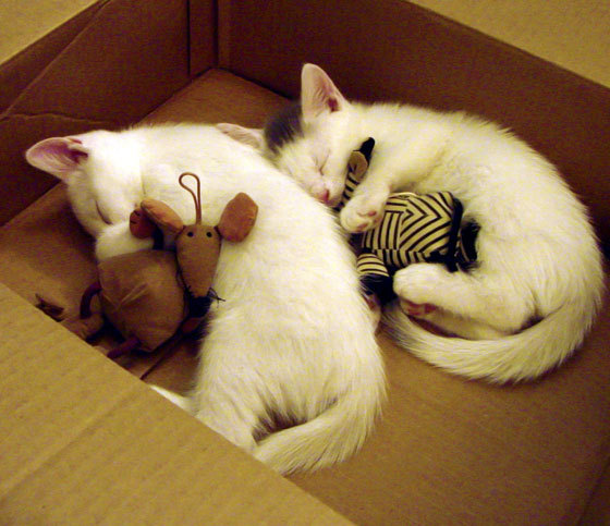 得分手是否应具备自主节奏切换能力,分手主动权